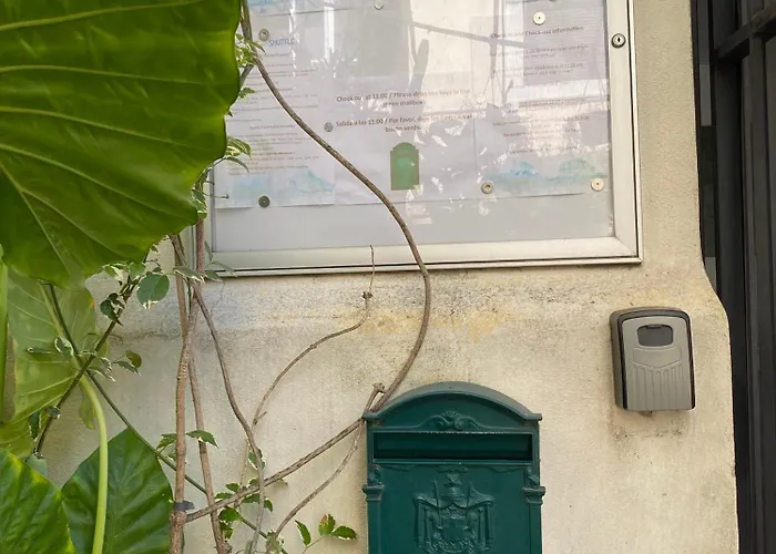Il Plancton * Rom